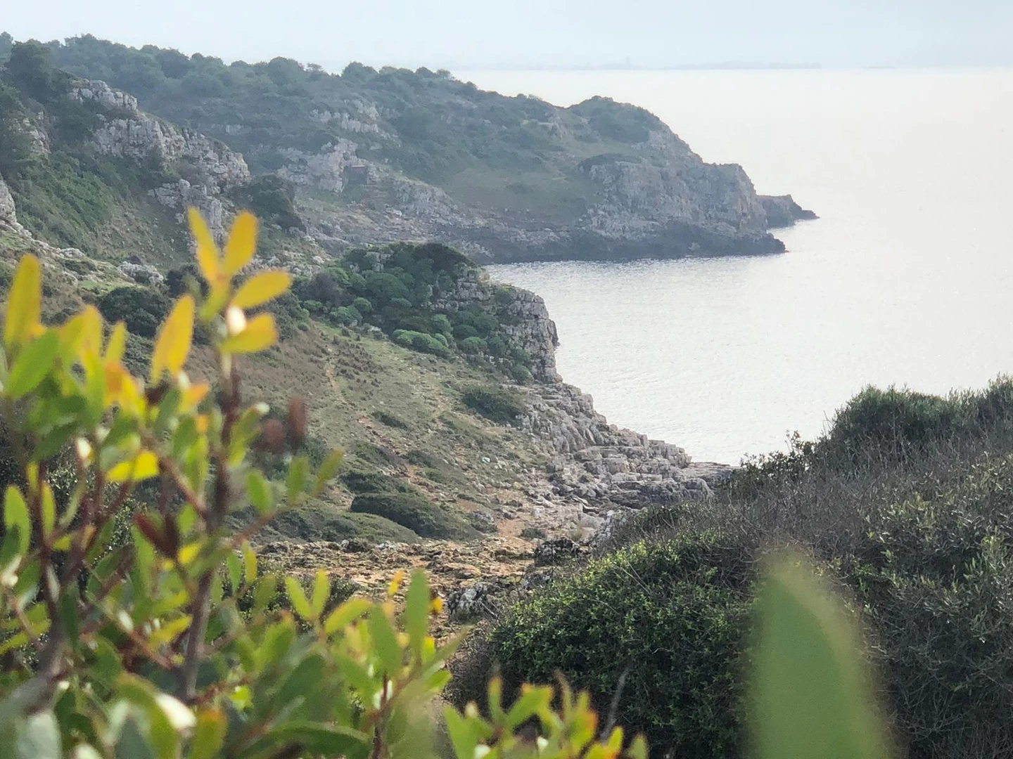 Salentissimo.it: Baia di Torre Uluzzo - Porto Selvaggio - Nardo, Playas de Salento