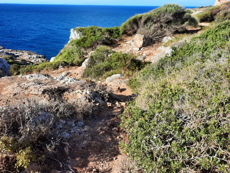 Salentissimo.it: Baia di Torre Uluzzo - Porto Selvaggio - Nardò, Pantai Salento