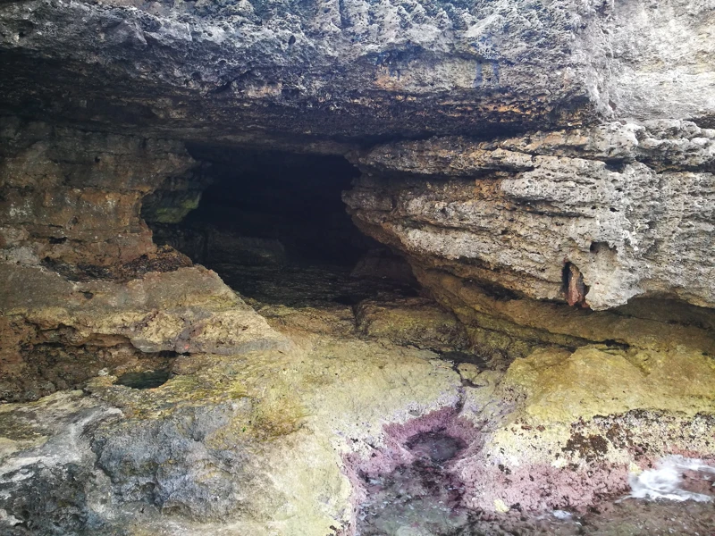 Salentissimo.it: Grotta Verde - Marina di Andrano, Stranden van Salento