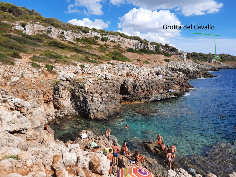 Salentissimo.it: Grotte di Porto Selvaggio - Porto Selvaggio - Nardò, Praias do Salento