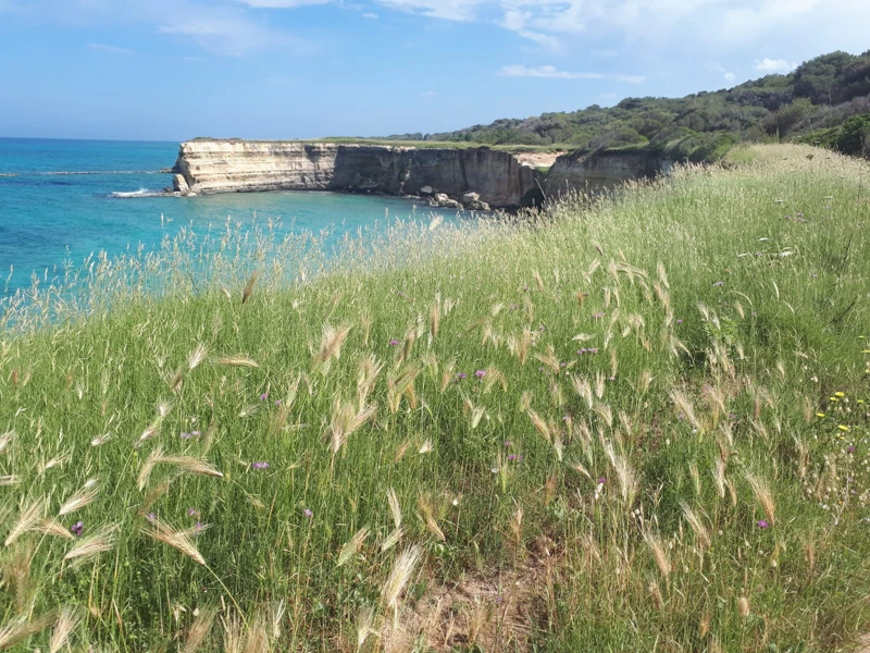 Salentissimo.it: I Faraglioni di Sant Andrea - Sant Andrea - Melendugno, Praias de Salento