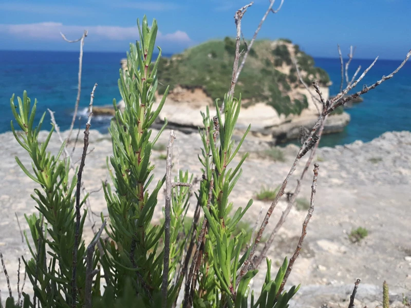 Salentissimo.it: I Faraglioni di Sant Andrea - Sant Andrea - Melendugno, Praias de Salento