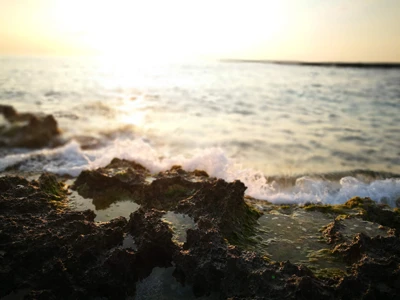 Salentissimo.it: Lido dell Ancora - Sant Isidoro - Nardò, Stränder i Salento