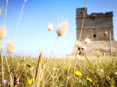 Salentissimo.it: Blu Salento Village - Sant Isidoro - Nardò, Salento rannad