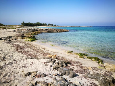 Salentissimo.it: Spiaggia Frascone - Sant Isidoro - Nardò, spiagge del Salento