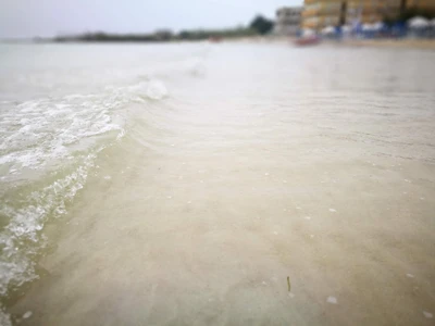 Salentissimo.it: Hotel Blu - Porto Cesareo, Stranden van Salento