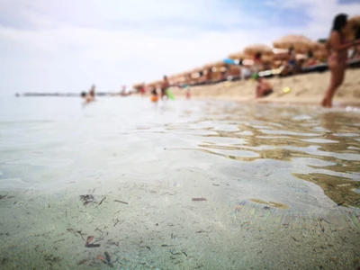 Salentissimo.it: Lido Samanà Beach - Punta Prosciutto - Porto Cesareo, Salento plajları