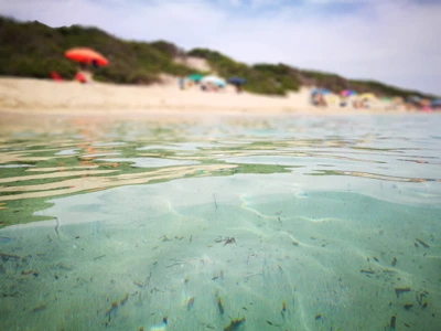 Salentissimo.it: Lido Samanà Beach - Punta Prosciutto - Porto Cesareo, Пляжі Саленто