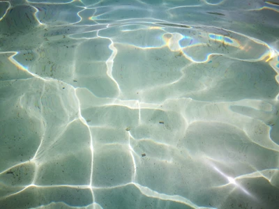 Salentissimo.it: Lido di Punta della Suina - Punta della Suina - Gallipoli, spiagge del Salento