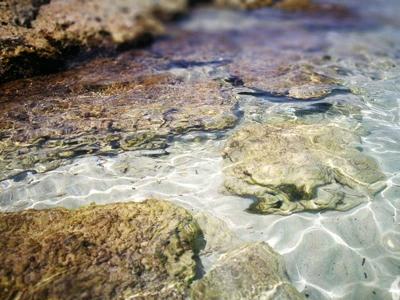 Salentissimo.it: Lido di Punta della Suina - Punta della Suina - Gallipoli, Плажове в Саленто