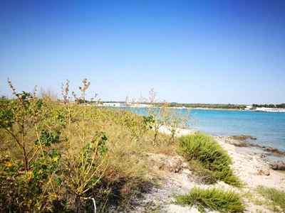 Salentissimo.it: Isola di Sant Isidoro - Sant Isidoro - Nardò, Pláže Salento