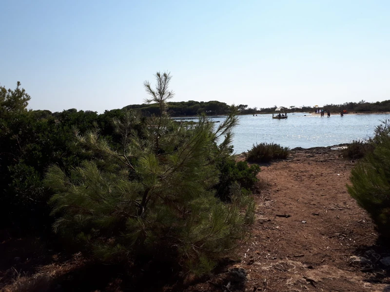 Salentissimo.it: Isola dei Conigli - Porto Cesareo, サレントのビーチ