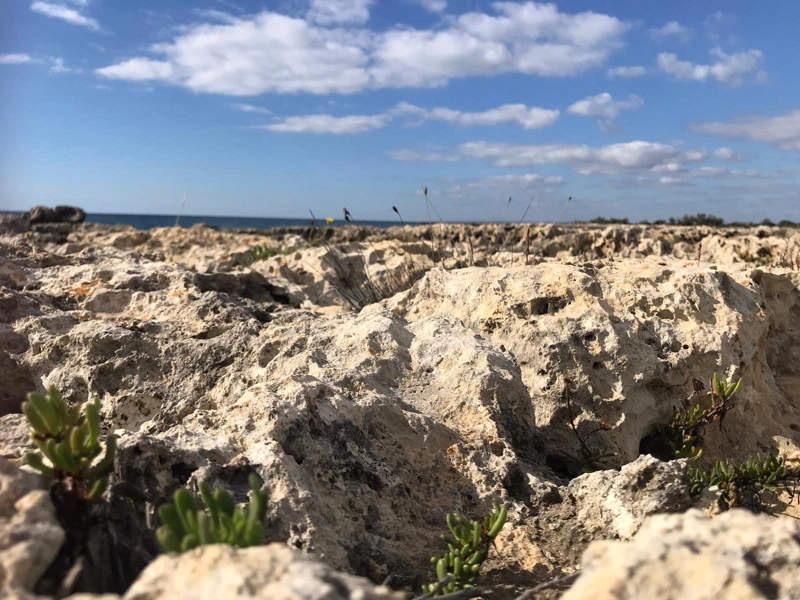 Salentissimo.it: La Strea - Porto Cesareo, Salento strandok