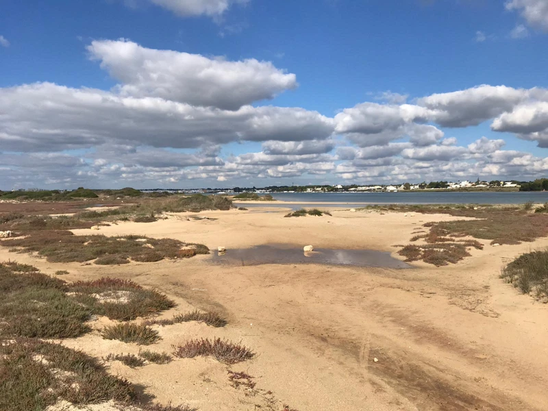 Salentissimo.it: La Strea - Porto Cesareo, Salento strandok