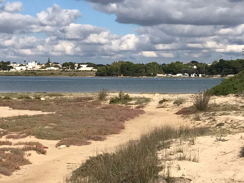 Salentissimo.it: La Strea - Porto Cesareo, Salento strandok