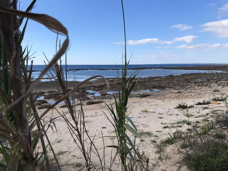 Salentissimo.it: La Strea - Porto Cesareo, Salento strandok