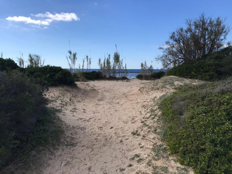 Salentissimo.it: La Strea - Porto Cesareo, Salento strandok