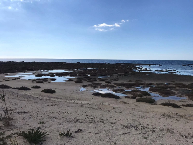 Salentissimo.it: La Strea - Porto Cesareo, Salento strandok