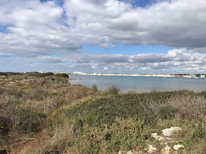 Salentissimo.it: La Strea - Porto Cesareo, Salento strandok