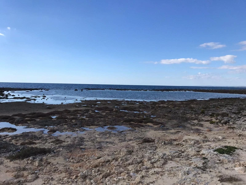 Salentissimo.it: La Strea - Porto Cesareo, Salento strandok