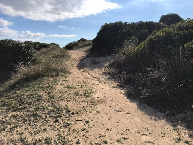 Salentissimo.it: La Strea - Porto Cesareo, Salento strandok