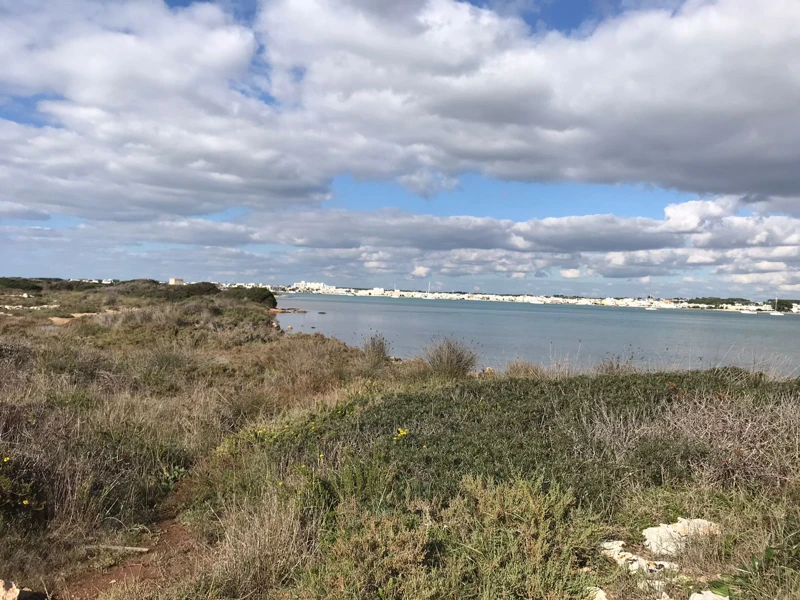 Salentissimo.it: La Strea - Porto Cesareo, Salento strandok