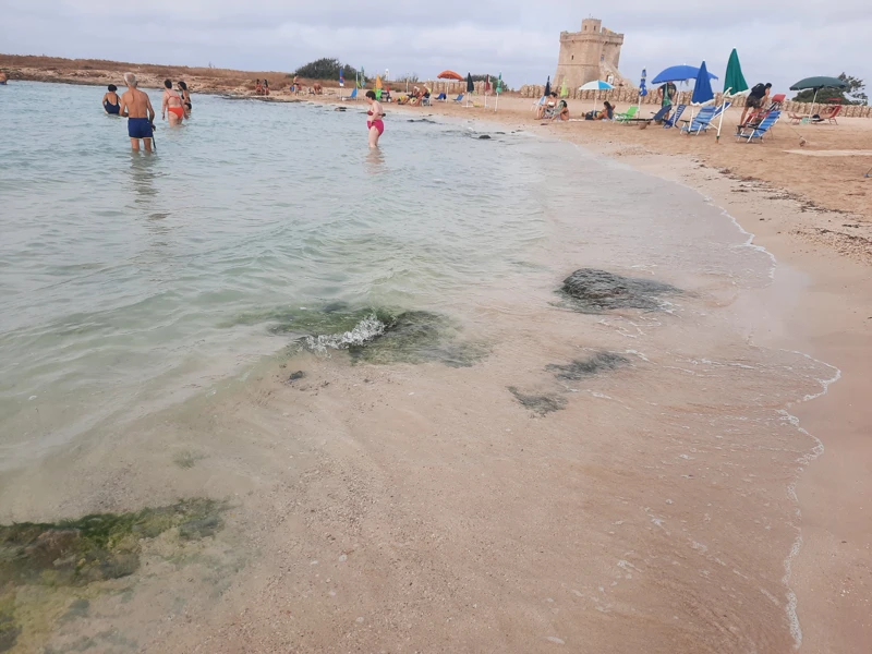 Salentissimo.it: Li Scianuli Torre Squillace - Sant Isidoro - Nardò, spiagge del Salento