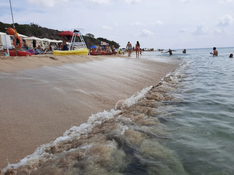 Salentissimo.it: Lido Teranga Bay - Punta Prosciutto - Porto Cesareo, Pantai Salento