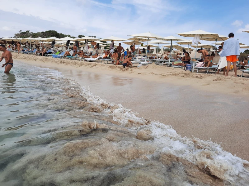 Salentissimo.it: Lido Teranga Bay - Punta Prosciutto - Porto Cesareo, Παραλίες Salento