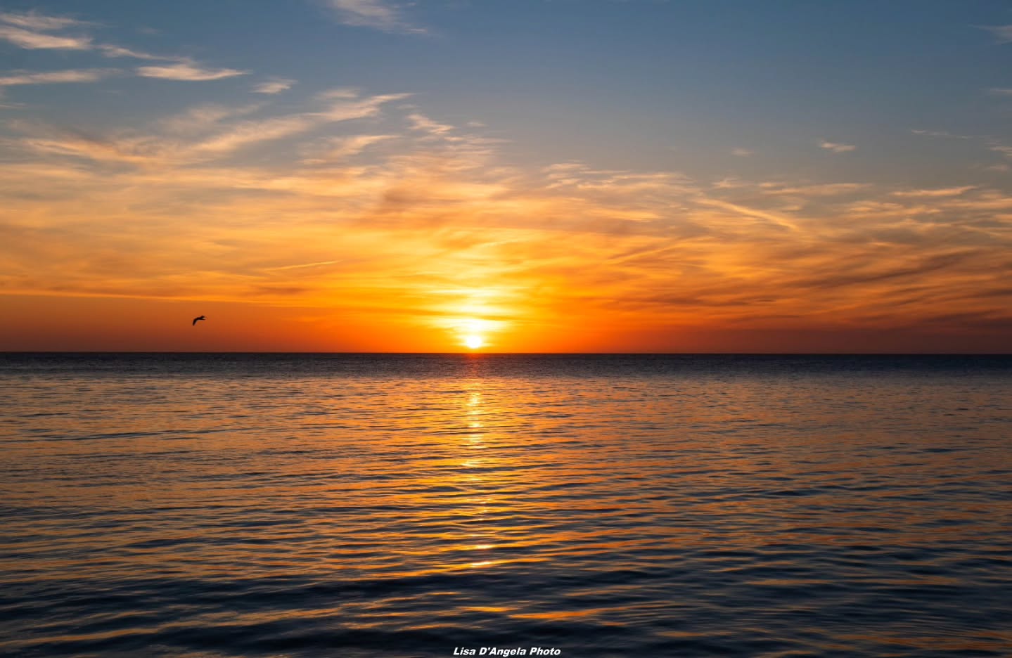 Salentissimo.it: Lungomare Gallipoli - Gallipoli, Plages du Salento