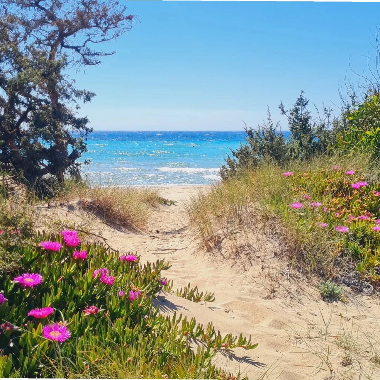 Salentissimo.it: Spiaggia Padula Bianca - Lido Conchiglie - Sannicola, Salento-strande