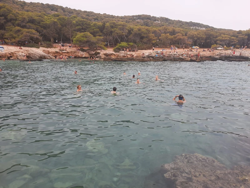 Salentissimo.it: Spiaggia di Porto Selvaggio - Porto Selvaggio - Nardò, Stranden van Salento