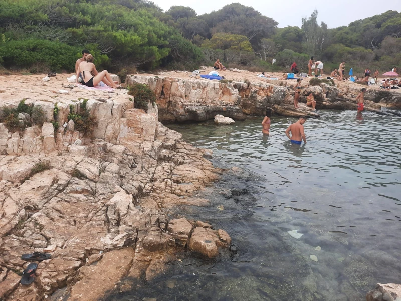 Salentissimo.it: Spiaggia di Porto Selvaggio - Porto Selvaggio - Nardò, Salento pludmales