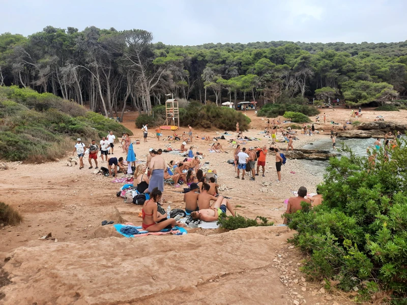 Salentissimo.it: Spiaggia di Porto Selvaggio - Porto Selvaggio - Nardò, Salento pludmales