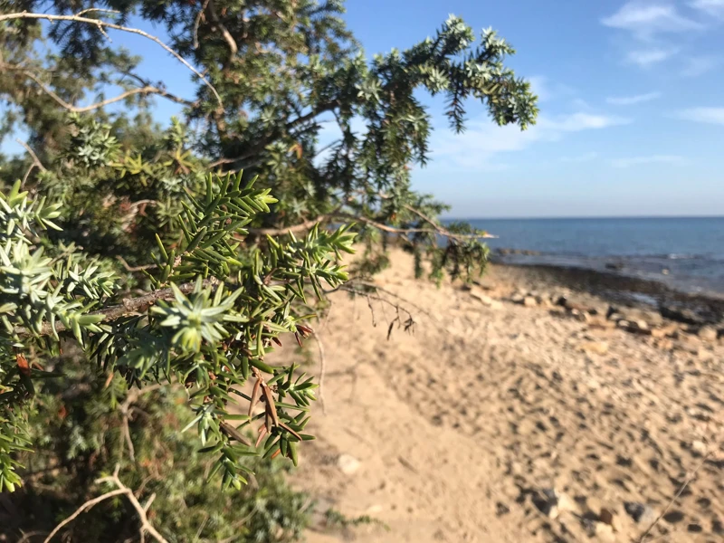 Salentissimo.it: Spiaggia di Punta Cacata - Torre Colimena - Manduria, Stränder i Salento