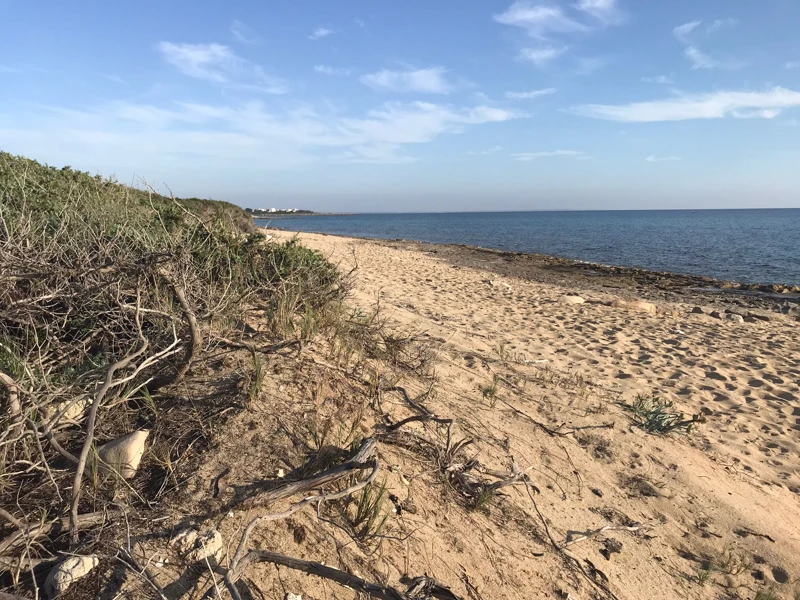 Salentissimo.it: Spiaggia di Punta Cacata - Torre Colimena - Manduria, Παραλίες Salento