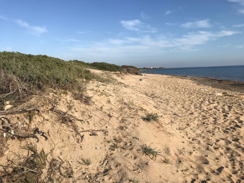 Salentissimo.it: Spiaggia di Punta Cacata - Torre Colimena - Manduria, Παραλίες Salento