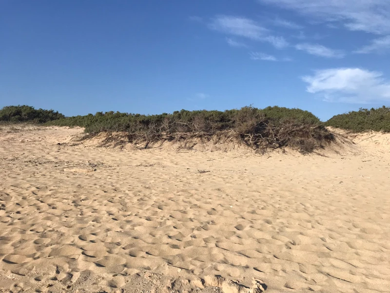 Salentissimo.it: Spiaggia di Punta Cacata - Torre Colimena - Manduria, Παραλίες Salento