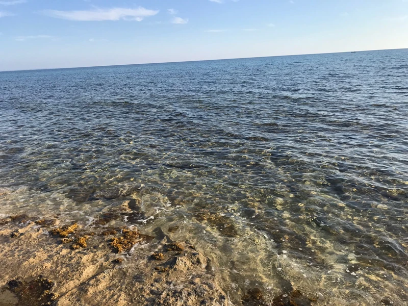 Salentissimo.it: Spiaggia di Punta Cacata - Torre Colimena - Manduria, Παραλίες Salento