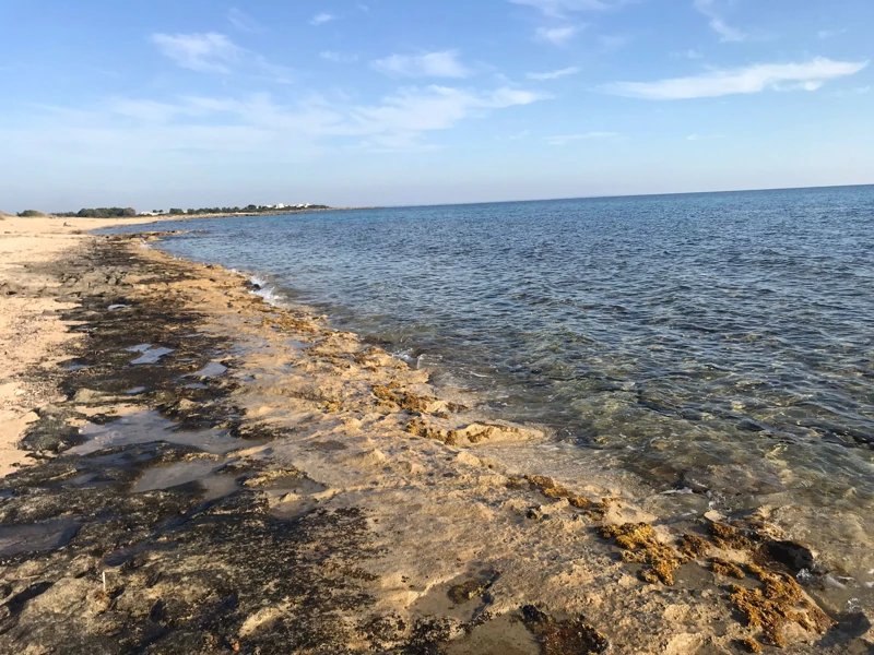 Salentissimo.it: Spiaggia di Punta Cacata - Torre Colimena - Manduria, Παραλίες Salento