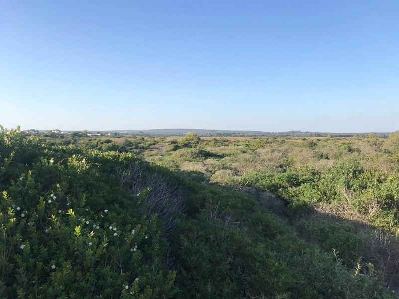 Salentissimo.it: Spiaggia di Punta Cacata - Torre Colimena - Manduria, Παραλίες Salento