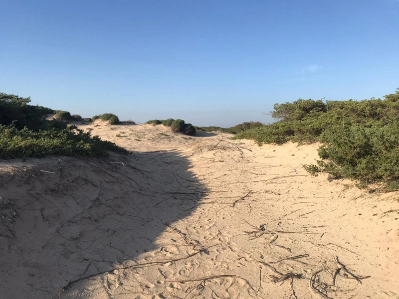 Salentissimo.it: Spiaggia di Punta Cacata - Torre Colimena - Manduria, Παραλίες Salento