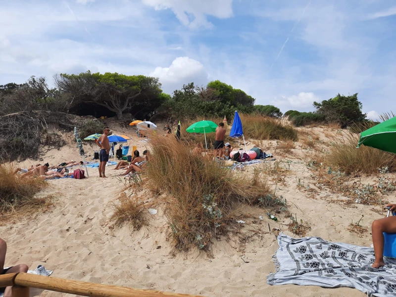 Salentissimo.it: Spiaggia di Punta Prosciutto - Punta Prosciutto - Porto Cesareo, Stranden van Salento