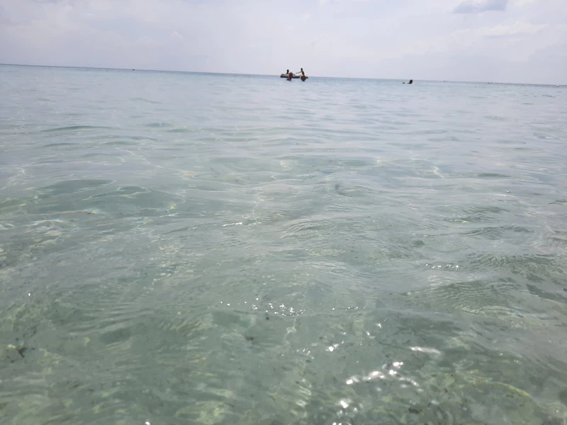 Salentissimo.it: Spiaggia di Punta Prosciutto - Punta Prosciutto - Porto Cesareo, Pantai Salento