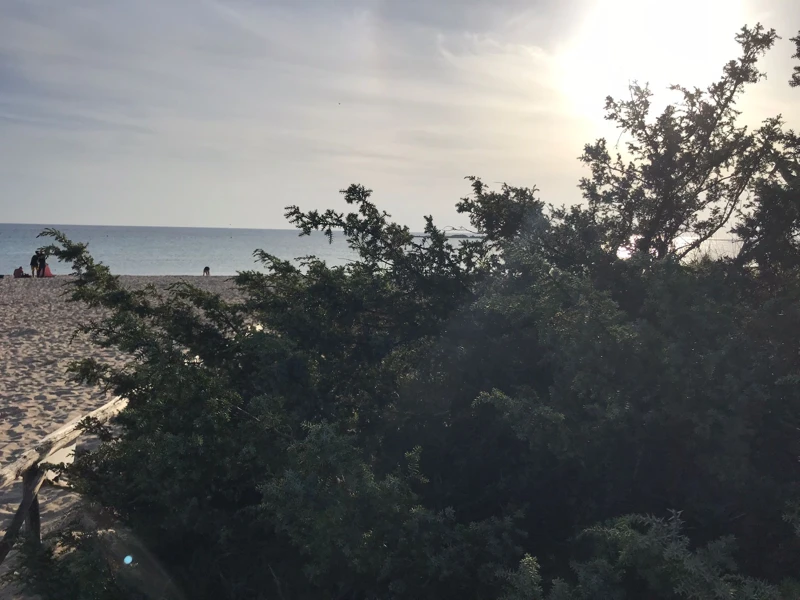 Salentissimo.it: Spiaggia libera delle Dune - Porto Cesareo, Salento pludmales