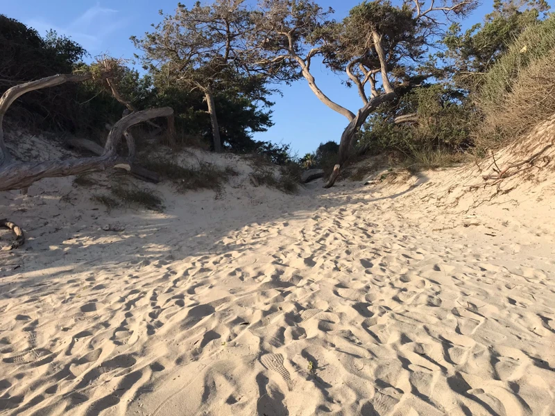 Salentissimo.it: Spiaggia libera delle Dune - Porto Cesareo, Salento pludmales