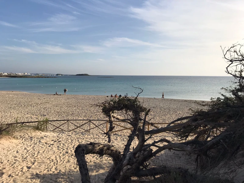 Salentissimo.it: Spiaggia libera delle Dune - Porto Cesareo, Salento pludmales