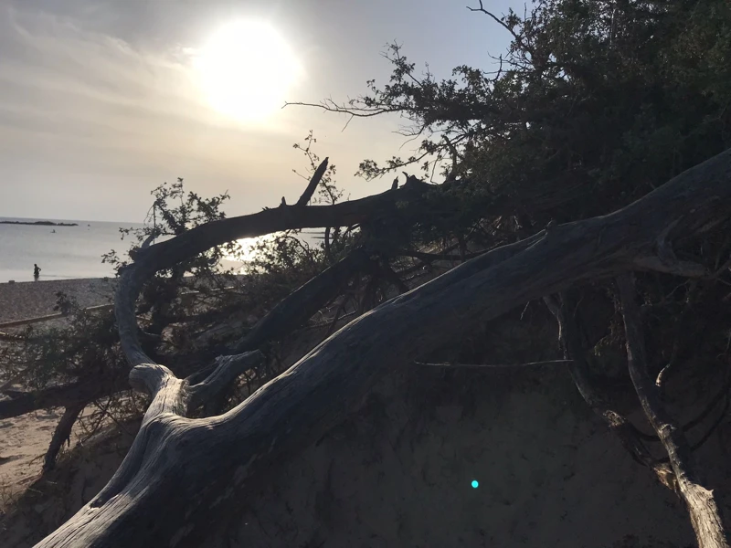 Salentissimo.it: Spiaggia libera delle Dune - Porto Cesareo, Salento pludmales