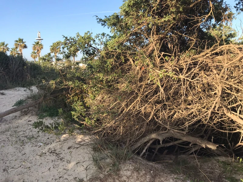 Salentissimo.it: Spiaggia libera delle Dune - Porto Cesareo, Salento pludmales