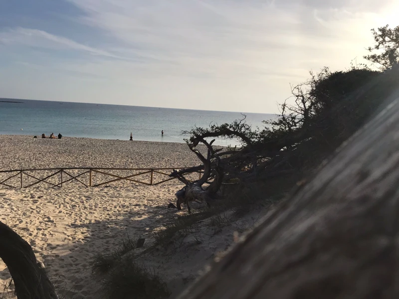 Salentissimo.it: Spiaggia libera delle Dune - Porto Cesareo, Salento pludmales